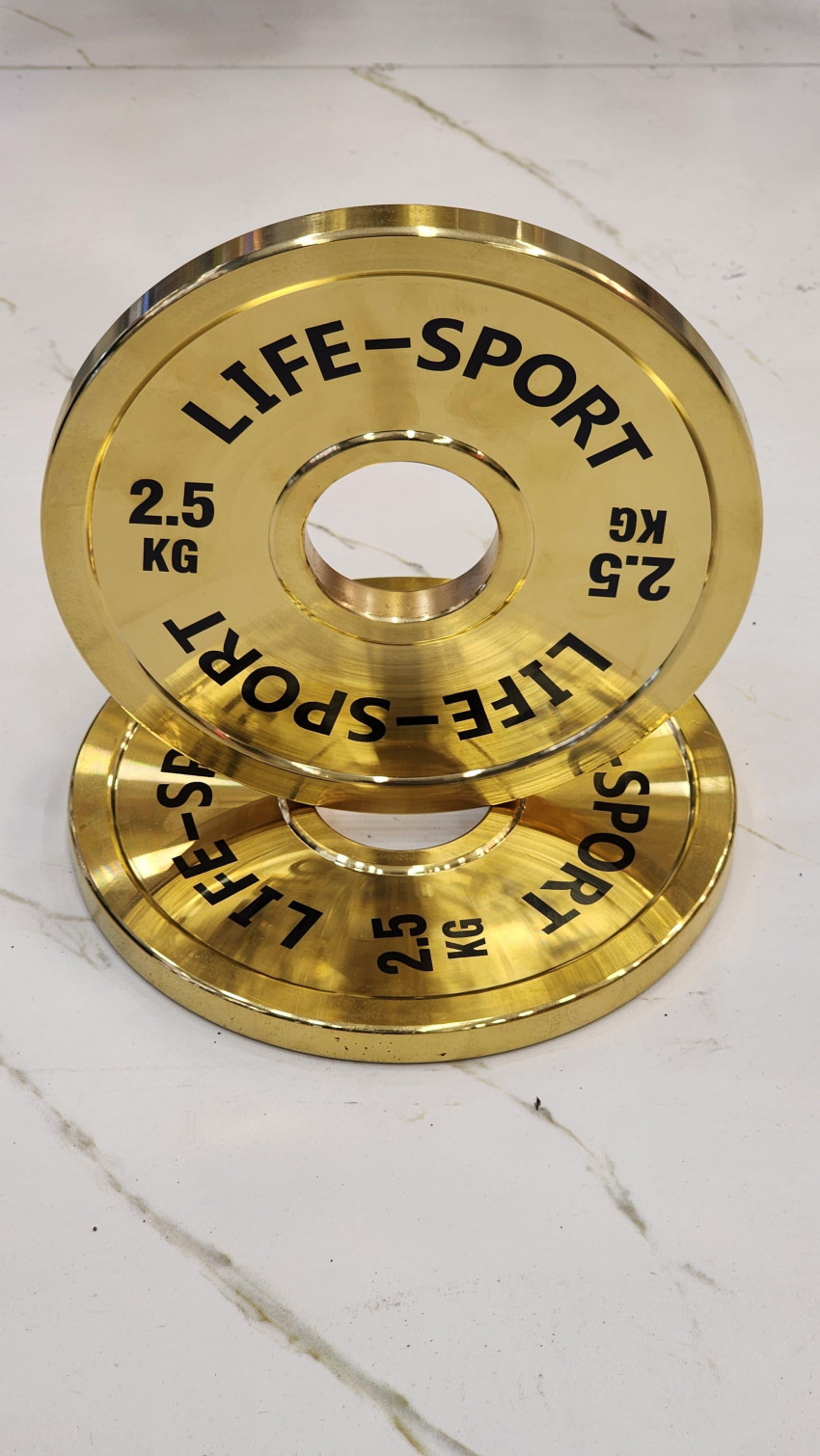 Life Sport Pro Bronze Coating Change Plate 2.5 kg